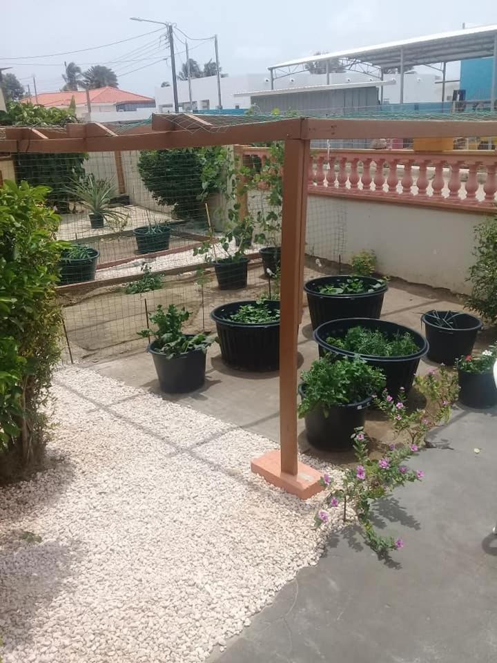 Apartamento Aruba Backpackers Oranjestad Exterior foto