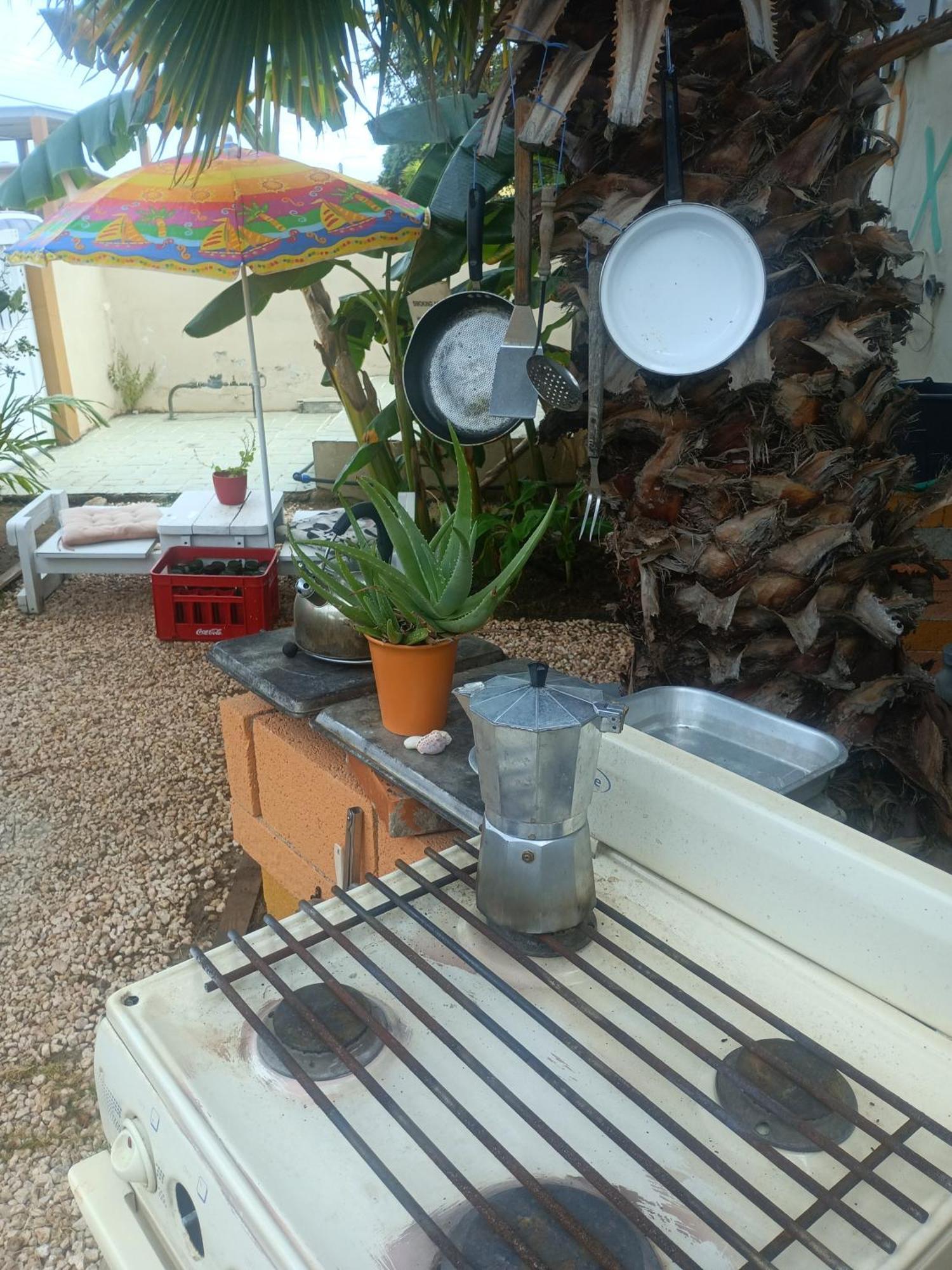 Apartamento Aruba Backpackers Oranjestad Exterior foto